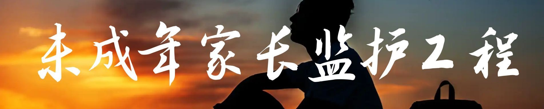 未成年人家长监护体系